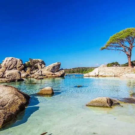 Apartmán T2 Classe 5* Piscine Domaine D'arca Porto-vecchio Porto-Vecchio (Corsica)
